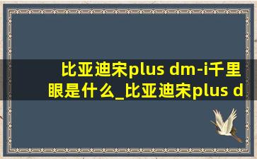 比亚迪宋plus dm-i千里眼是什么_比亚迪宋plus dm-i千里眼功能